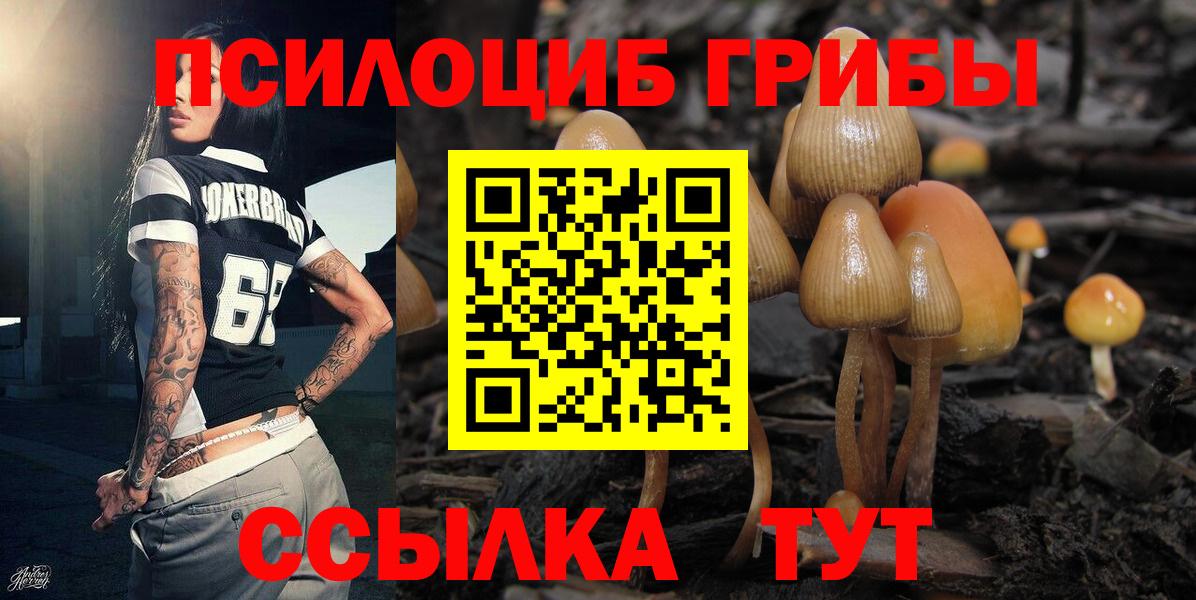 Галлюциногенные грибы MAGIC MUSHROOMS Саров